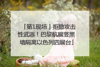 第1现场｜拒撤攻击性武器！巴黎航展竖黑墙隔离以色列四展台
