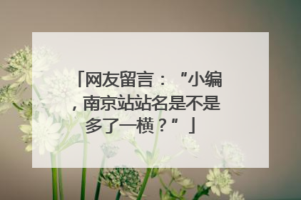 网友留言：“小编，南京站站名是不是多了一横？”