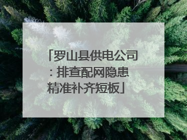 罗山县供电公司：排查配网隐患 精准补齐短板