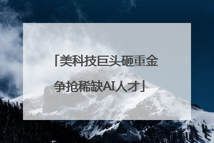 美科技巨头砸重金争抢稀缺AI人才