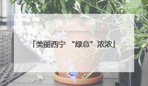 美丽西宁 “绿意”浓浓