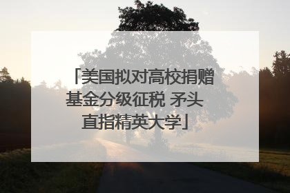 美国拟对高校捐赠基金分级征税 矛头直指精英大学