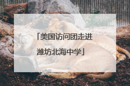 美国访问团走进潍坊北海中学