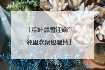 粽叶飘香迎端午 邻里欢聚包温情