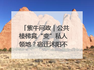 紫牛问政｜公共楼梯竟“变”私人领地？宿迁沭阳不动产登记引质疑
