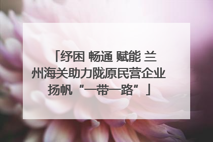 纾困 畅通 赋能 兰州海关助力陇原民营企业扬帆“一带一路”