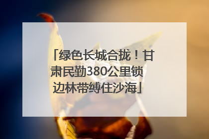 绿色长城合拢！甘肃民勤380公里锁边林带缚住沙海