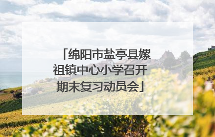 绵阳市盐亭县嫘祖镇中心小学召开期末复习动员会