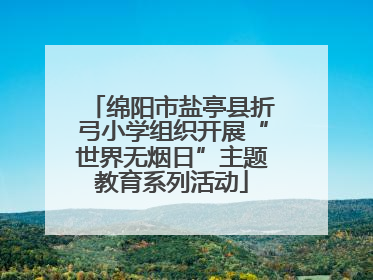 绵阳市盐亭县折弓小学组织开展“世界无烟日”主题教育系列活动