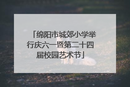 绵阳市城郊小学举行庆六一暨第二十四届校园艺术节