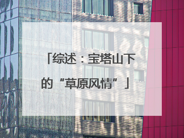 综述：宝塔山下的“草原风情”
