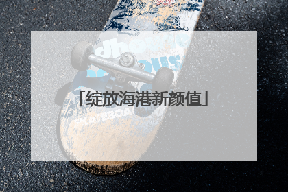 绽放海港新颜值