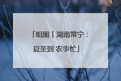 组图丨湖南常宁：夏至到 农事忙