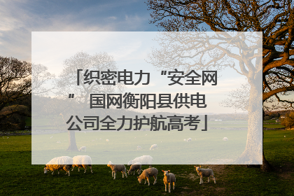 织密电力“安全网” 国网衡阳县供电公司全力护航高考