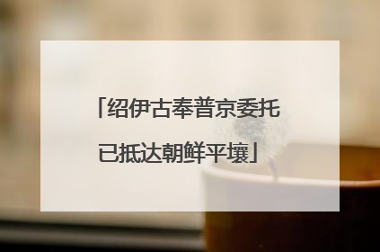 绍伊古奉普京委托已抵达朝鲜平壤