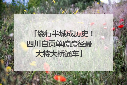 绕行半城成历史！四川自贡单跨跨径最大特大桥通车