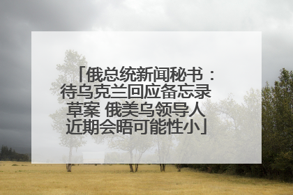 俄总统新闻秘书：待乌克兰回应备忘录草案 俄美乌领导人近期会晤可能性小