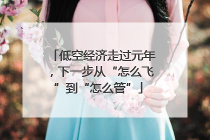 低空经济走过元年，下一步从“怎么飞”到“怎么管”