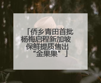 侨乡青田首批杨梅启程新加坡 保鲜提质售出“金果果”
