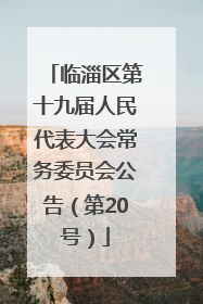 临淄区第十九届人民代表大会常务委员会公告（第20号）