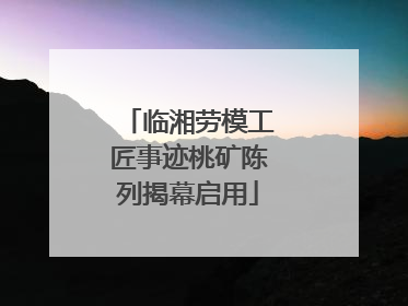 临湘劳模工匠事迹桃矿陈列揭幕启用