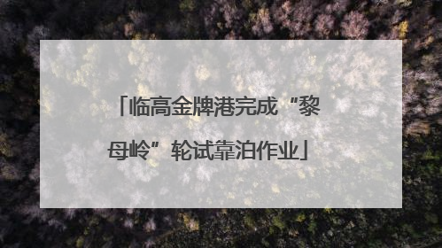 临高金牌港完成“黎母岭”轮试靠泊作业