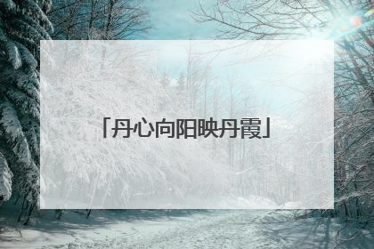 丹心向阳映丹霞