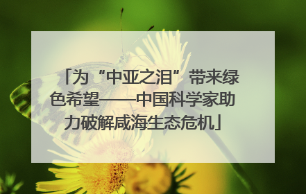 为“中亚之泪”带来绿色希望——中国科学家助力破解咸海生态危机