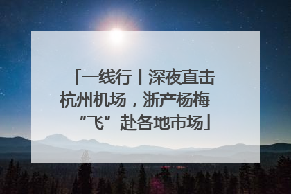 一线行丨深夜直击杭州机场，浙产杨梅“飞”赴各地市场