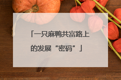 一只麻鸭共富路上的发展“密码”