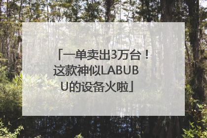 一单卖出3万台！这款神似LABUBU的设备火啦