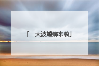 一大波螳螂来袭