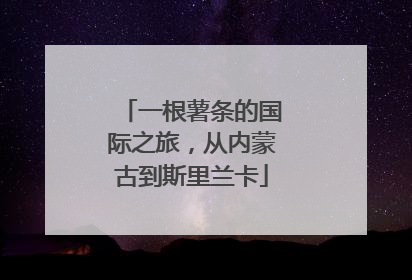 一根薯条的国际之旅，从内蒙古到斯里兰卡
