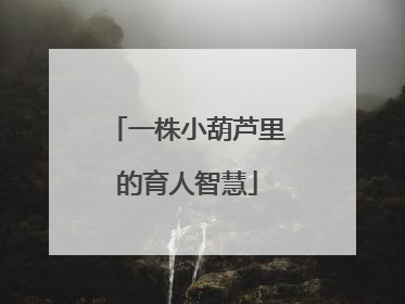 一株小葫芦里的育人智慧