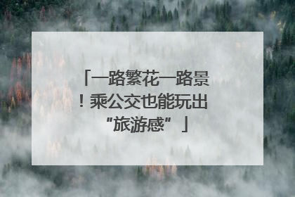 一路繁花一路景！乘公交也能玩出“旅游感”