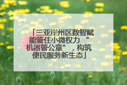 三亚崖州区数智赋能管住小微权力 “机器管公章”，构筑便民服务新生态