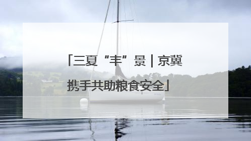三夏“丰”景｜京冀携手共助粮食安全