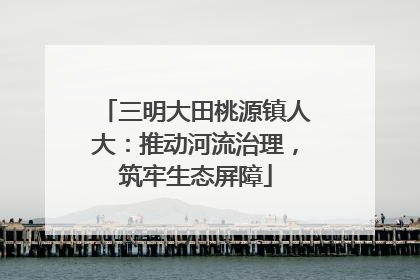 三明大田桃源镇人大：推动河流治理，筑牢生态屏障