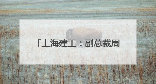 上海建工：副总裁周军因到龄退休辞职