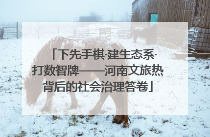 下先手棋·建生态系·打数智牌——河南文旅热背后的社会治理答卷