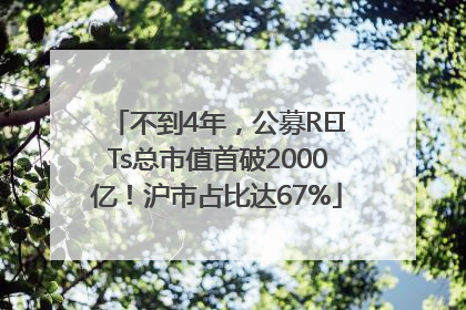 不到4年，公募REITs总市值首破2000亿！沪市占比达67%