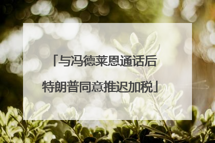 与冯德莱恩通话后 特朗普同意推迟加税