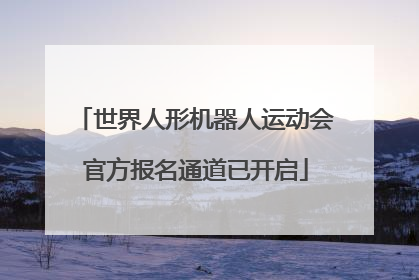 世界人形机器人运动会官方报名通道已开启