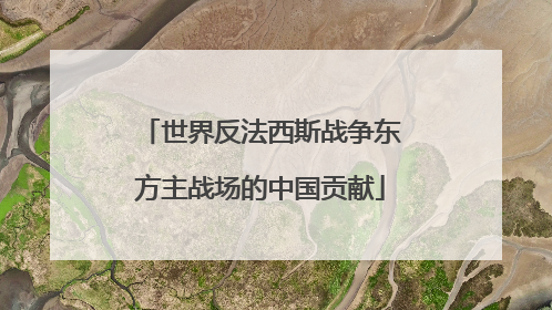 世界反法西斯战争东方主战场的中国贡献