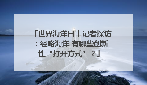 世界海洋日丨记者探访：经略海洋 有哪些创新性“打开方式”？