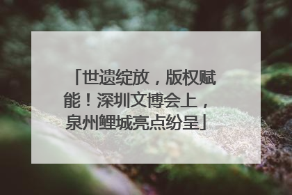 世遗绽放，版权赋能！深圳文博会上，泉州鲤城亮点纷呈
