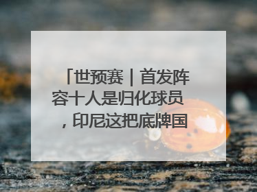世预赛｜首发阵容十人是归化球员，印尼这把底牌国足如何应对？
