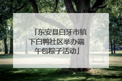 东安县白牙市镇下白鸭社区举办端午包粽子活动