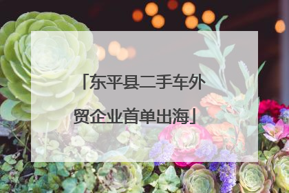 东平县二手车外贸企业首单出海