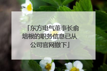 东方电气董事长俞培根的职务信息已从公司官网撤下